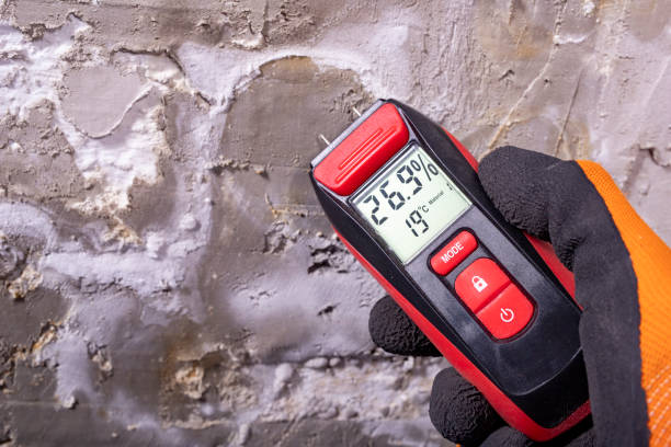 Mold Testing and Removal in Mountain Lodge Park, NY